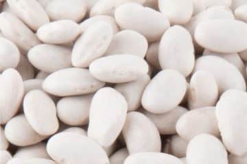 Dried 100% Organic Great Northern Beans for Sale in Bulk