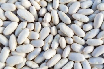 Natural Cannellini Beans for sale (white kidney beans) in Bulk
