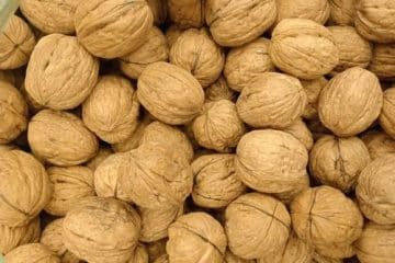 100% Walnut Kernel for sale in Bulk at wholesale prices