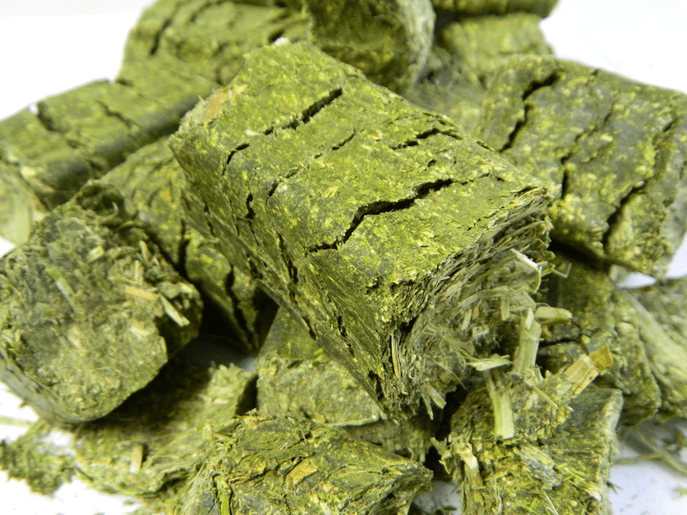 Alfalfa Hay Cubes for sale in bulk at Factory price