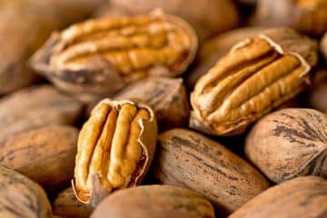 Bulk Pecan Nuts for Sale at wholesale price